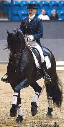 Show Denemarken
