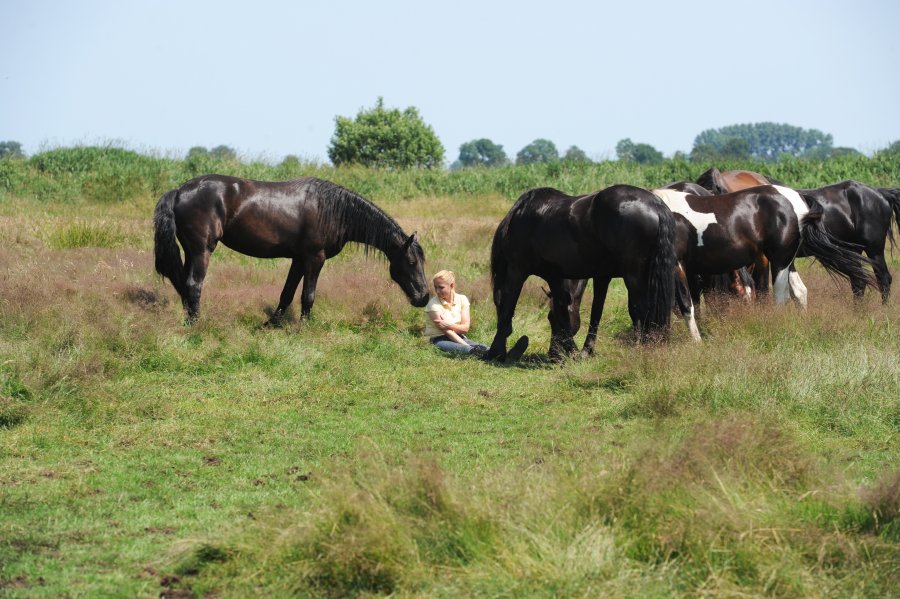 My horses and me.